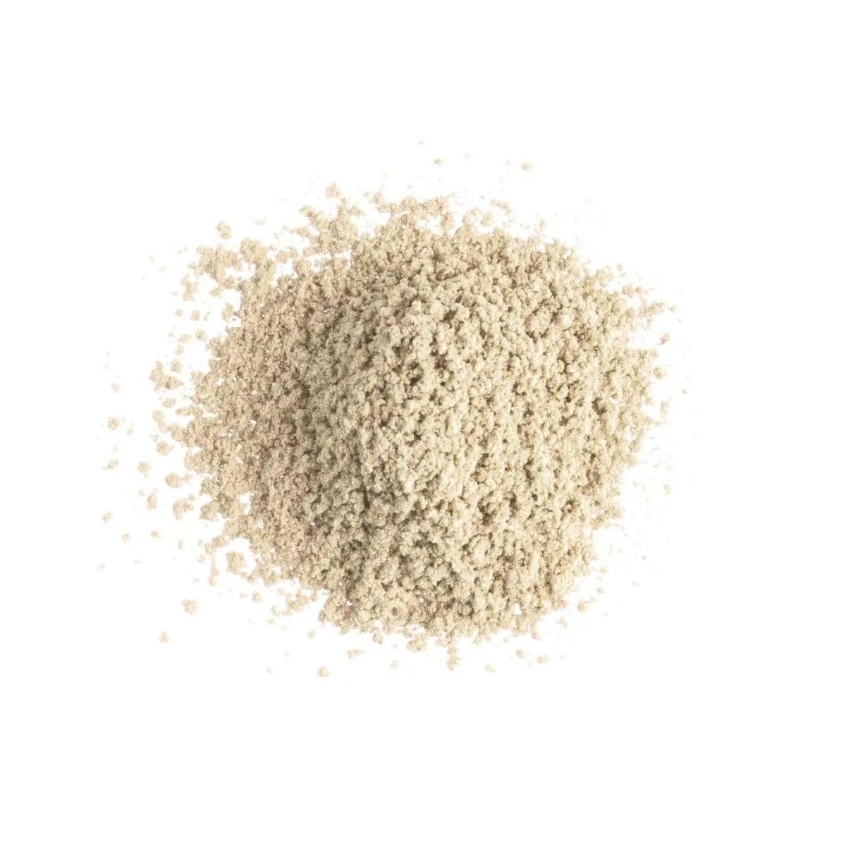 Lily Lolo Star Dust Shimmer
